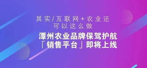 互聯網農業 近10萬億市場下的農產品銷售新玩法